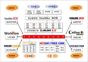 天新科技 企業信息化專家
